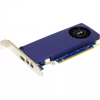 Vaizdo plokštė Sparkle Intel Arc A310 ECO 4 GB GDDR6, PCIe 4.0 x8, 1000 MHz, 64 bitų magistralė, 4K@60Hz