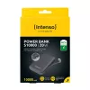 Power Bank USB 10000 mAh pilka S10000 7333034 Intenso