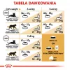 Sausas kačių ėdalas Royal Canin Bengal Adult 2 kg – paukštiena, 40% baltymų, 18% riebalų, virškinimo ir odos priežiūra