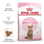Royal Canin Kitten Sterilised sausas kačių maistas kačiukams 3,5 kg su paukštiena