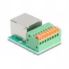 DeLOCK 90652 lyties keitiklis RJ45 8 kontaktų gnybtų blokas Žalia Sidabrinė