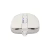 Pelė White Shark GM-9004 Tristan-2 White RGB USB