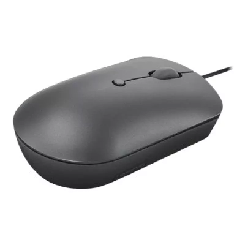Lenovo 540 pelė Office Ambidextrous USB-C optinė