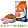 FARMINA N&D Pumpkin Lamb&Blueberry Adult Medium & Maxi – sausas šunų ėdalas – 12 kg