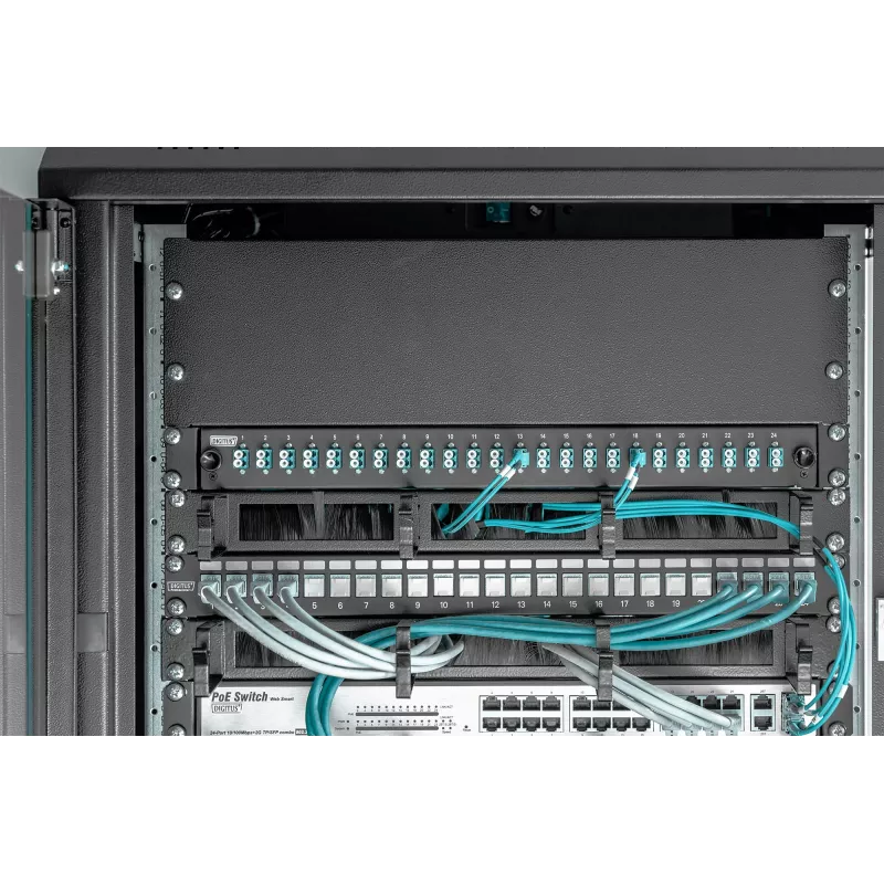 Tuščias panelis Digitus DN-19 BPN-03-SW