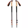 Black Diamond Trail Cork Trekking Poles Fig – žygio lazdos