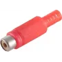 RCA kištukas lizdinis raudonas ShiverPeaks BS51500-R