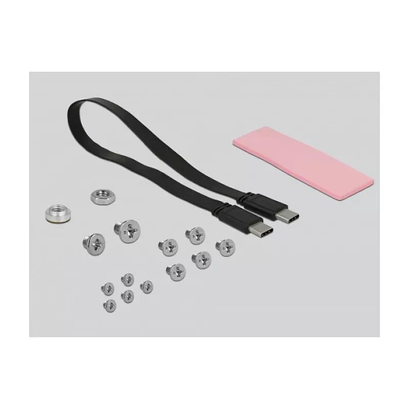 DeLOCK 42609 Juodas M.2 SSD korpusas