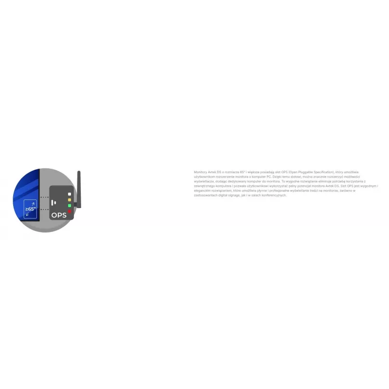 Informacinis monitorius Avtek DS2 75