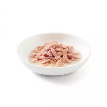 SCHESIR šlapias kačių maistas Tunas virimo vandenyje – 6 x 50 g