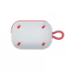 Belaidis garsiakalbis Soundcore Select 4 Go Raudonas