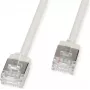 ROLINE U/FTP Patch Cable Cat.6A Ultra-trumpas RJ45 Pilkas 3m - Tinklo - FTP (21.15.4503)
