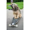Longboard Muuwmi Lights GLOW ABEC 7 su šviečiančiais ratais, juoda/žalia