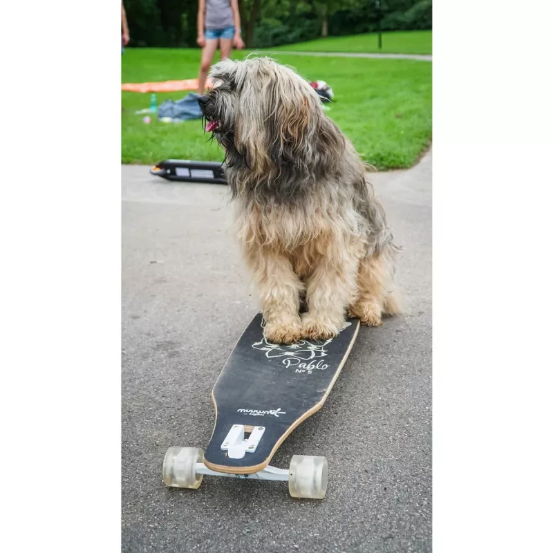 Longboard Muuwmi Lights GLOW ABEC 7 su šviečiančiais ratais, juoda/žalia
