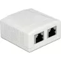 Sieninis lizdas 2 x RJ-45 DeLOCK 86197