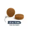 BOSCH Sanabelle Adult Trout & Blueberries – sausas maistas katėms – 2 kg