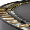 Trampolinas Salta Royal Baseground Sport 427 cm