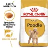 Sausas šunų ėdalas Royal Canin Poodle Adult 1,5 kg — vištiena, 30 % baltymų, 19 % riebalų