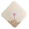NeXtime klok 3006 Coins sieninis laikrodis, 35x35 cm, permatomas