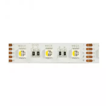 Synergy 21 LED Flex Strip 5050 - 60 RGB DC24V + RGB-W vienos lusto NW IP68