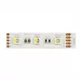 Synergy 21 LED Flex Strip 5050 - 60 RGB DC24V + RGB-W vienos lusto NW IP68