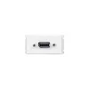Vivolink WI221268 DisplayPort lizdo plokštelė, balta