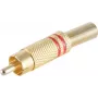 shiverpeaks BS52020-R Kištukas RCA Auksinis