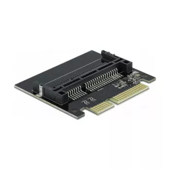 SATA į CFast adapteris DeLOCK 64101
