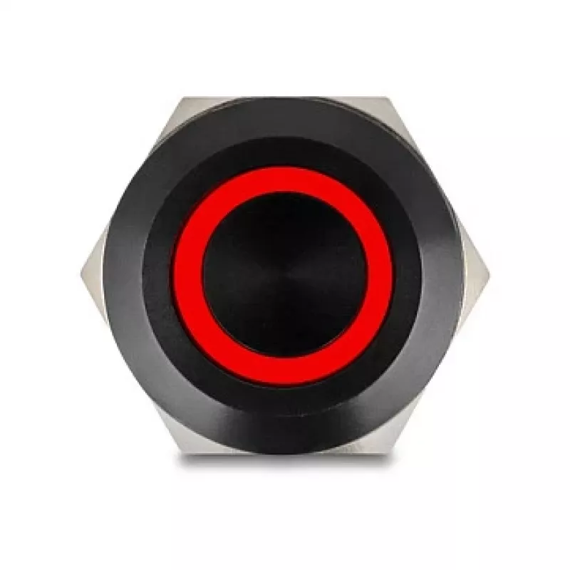 Mygtukinis jungiklis skydeliui DELOCK 22015 22 mm, 12 V, 5 litavimo gnybtai