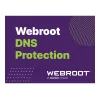 Webroot DNS Protection su GSM Console | 1 metai | Licencija 1-9 naudotojams