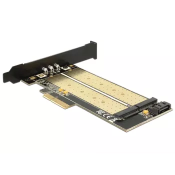 DeLOCK 89630 PCIe kortelė su dviem M.2 lizdais (SATA + PCIe)