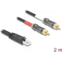 DeLOCK garso laidas 2 m RJ-45 2 x RCA juodas 88171