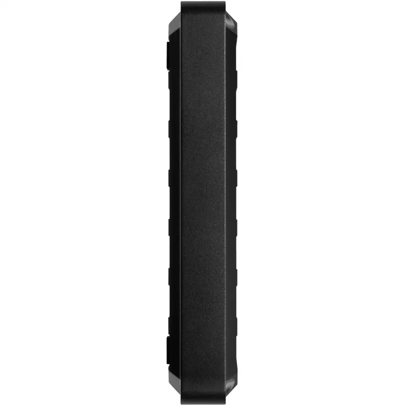Išorinis kietasis diskas Western Digital 4TB 2,5 colio USB 3.2 Gen 1 P10 Game Drive