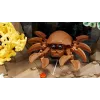 LEGO ICONS 10366 Atogrąžų akvariumas