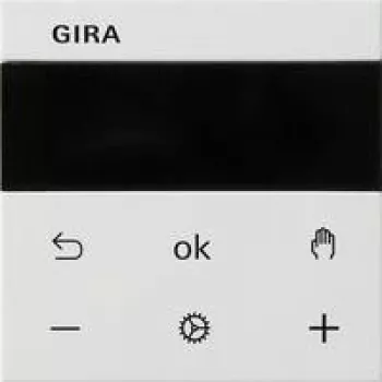Gira 539327 Ekranas