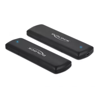 DeLOCK 42633 išorinis SSD dėklas M.2 NVMe/SATA USB Type-C