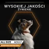 PURINA Pro Plan Kasdienė mityba Visų dydžių Suaugusiems Kalakutiena želėje - šlapias šunų ėdalas - 400g