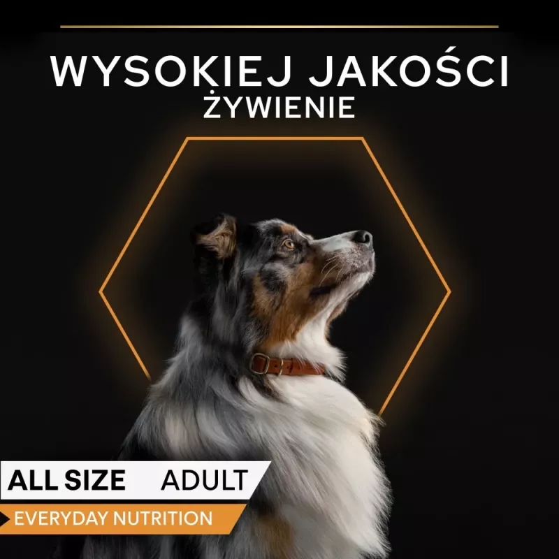 PURINA Pro Plan Kasdienė mityba Visų dydžių Suaugusiems Kalakutiena želėje - šlapias šunų ėdalas - 400g