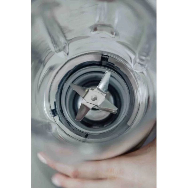 Zelmer ZSB4850 stalinis blenderis 1,75 L 1250 W nerūdijantis plienas