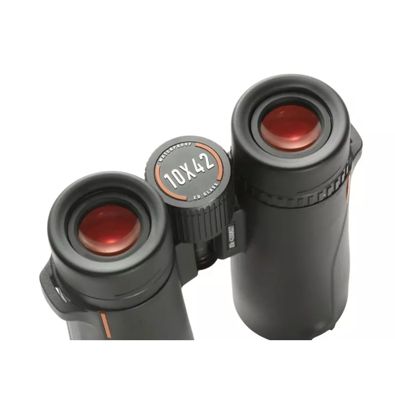 Žiūronai EYESKEY Wave 10x42 — 10× didinimas, 42 mm objektyvas, BaK-4 prizmė