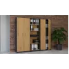 Topeshop OLIV 2D ANT/ART KPL biuro spintelė