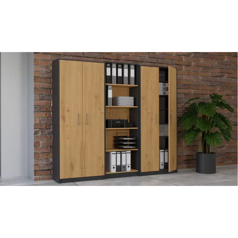 Topeshop OLIV 2D ANT/ART KPL biuro spintelė