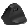 Ergonominė belaidė pelė dešinei rankai, Dual WL+BT, Yenkee YMS 5060P