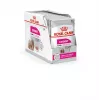 Šlapias šunų ėdalas Royal Canin Exigent Meat Universal 12×85 g – paukštiena, suaugusiems, išrankiems šunims