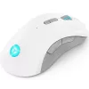 Žaidimų pelė Lenovo Legion M600 RF belaidė + Bluetooth + USB Type-A, abirankė, 16000 DPI, 9 mygtukų, įkraunama