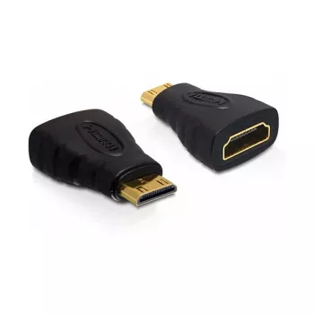 DeLOCK 65244 HDMI lyties keitiklis iš micro HDMI (C) į standartinį HDMI (A)