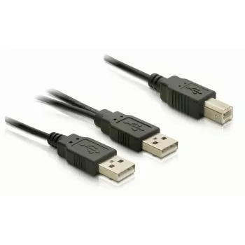 USB laidas DeLOCK USB-B / USB-A 1 m juodas