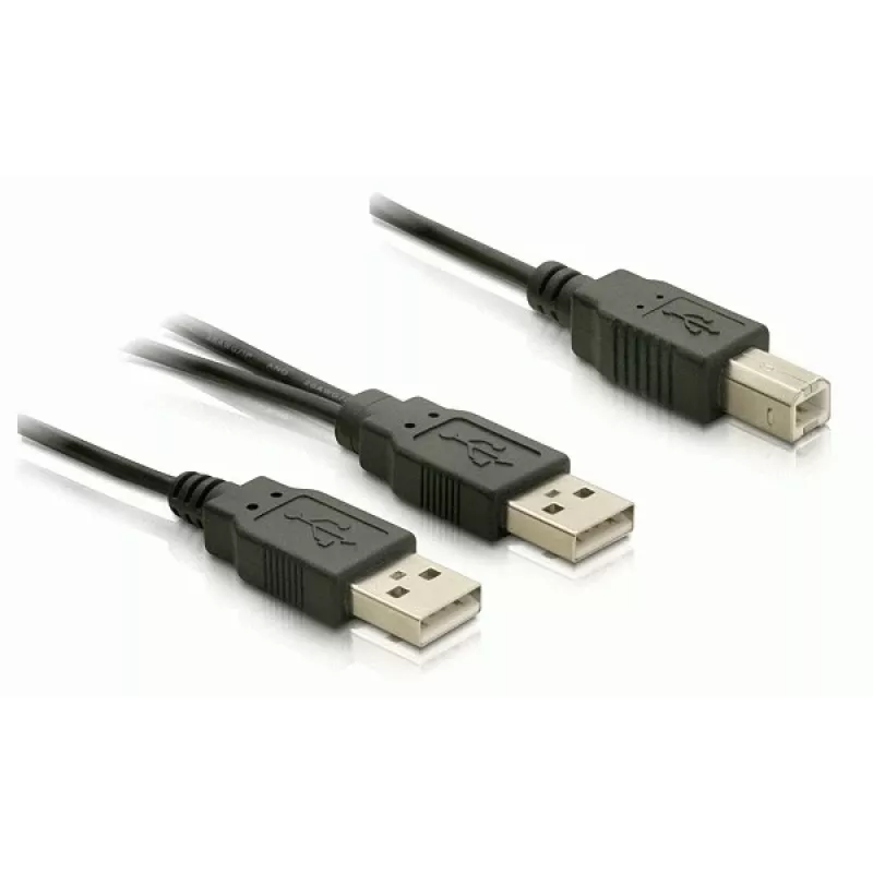 USB laidas DeLOCK USB-B / USB-A 1 m juodas