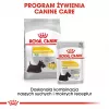 ROYAL CANIN Mini Dermacomfort – sausas ėdalas suaugusiems mažų veislių šunims su jautria, linkusia sudirgti oda – 3 kg