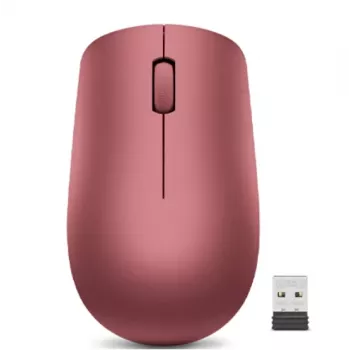 Lenovo 530 pelė Ambidextrous RF belaidė optinė 1200 DPI